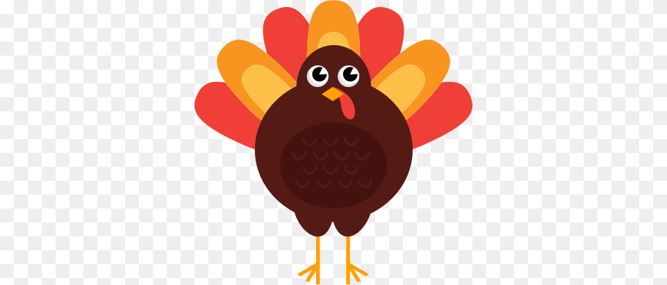 Turkey, Animal, Beak, Bird Free Png Download