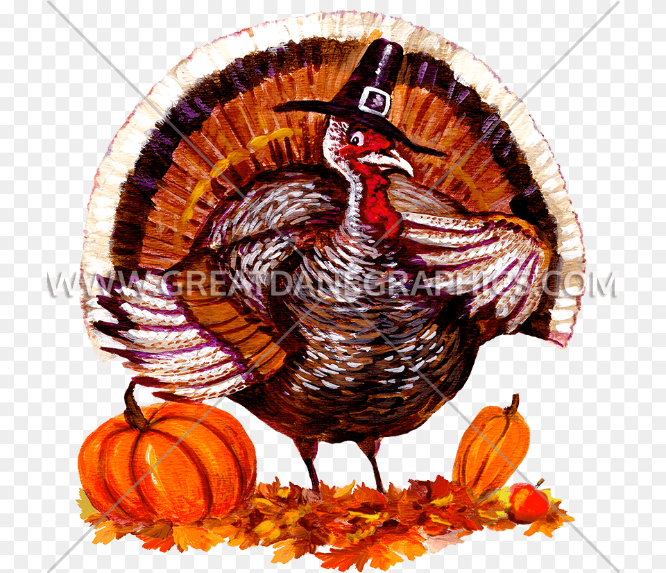 Turkey, Animal, Beak, Bird, Fowl Png Image