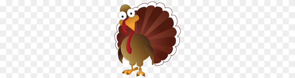 Turkey, Animal, Bird, Fowl, Poultry Png