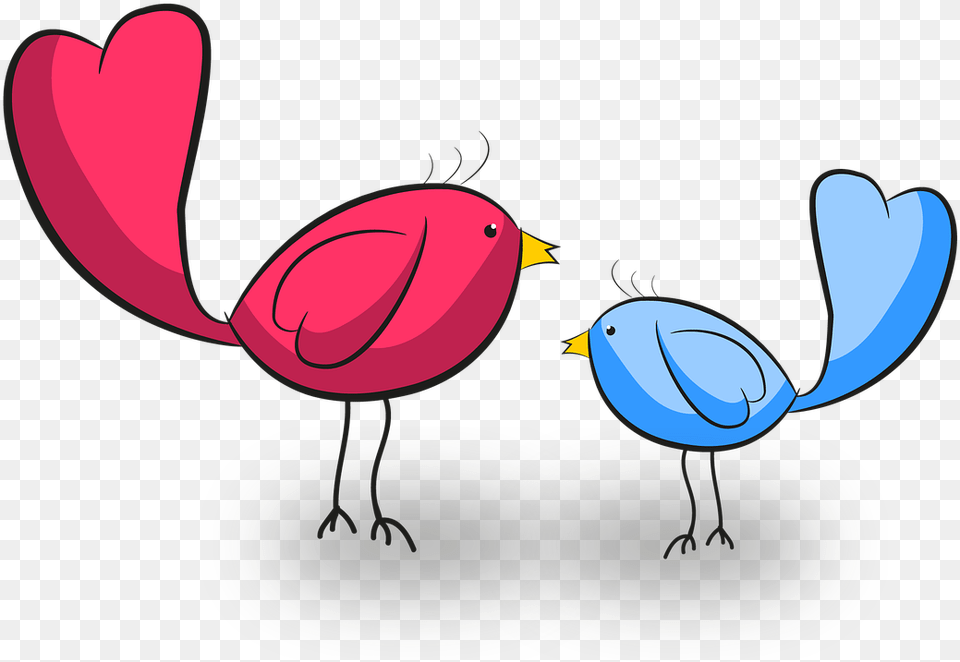 Turkey, Animal, Beak, Bird, Finch Free Transparent Png