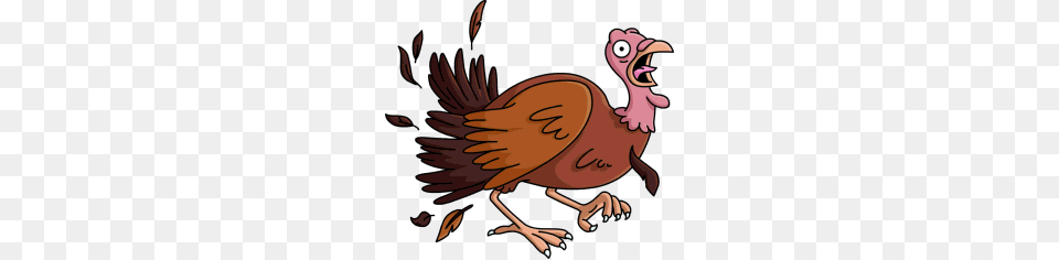 Turkey, Animal, Beak, Bird, Vulture Png Image