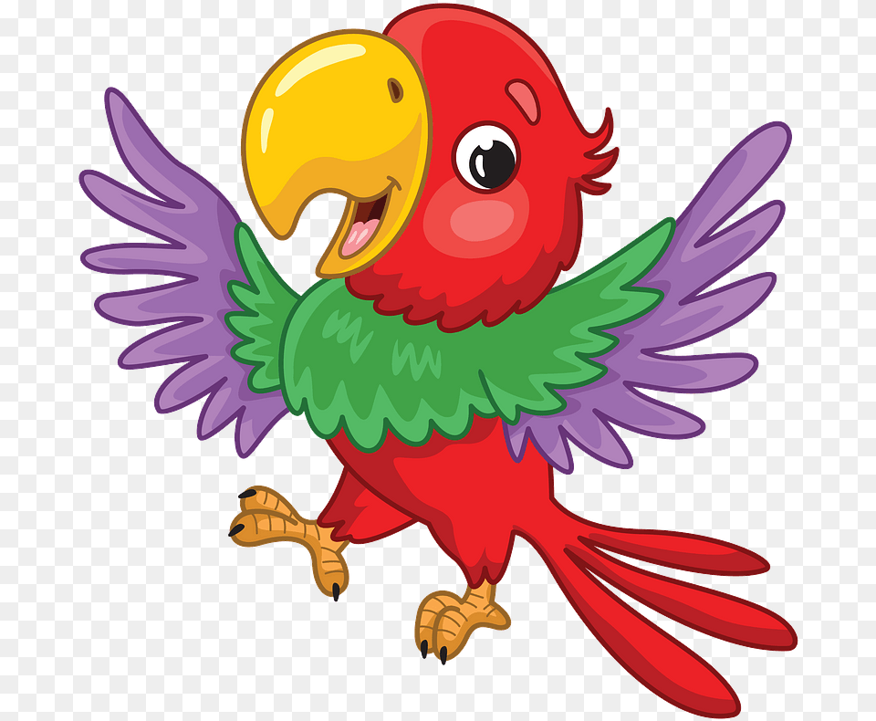 Turkey, Animal, Bird, Beak, Parrot Free Png