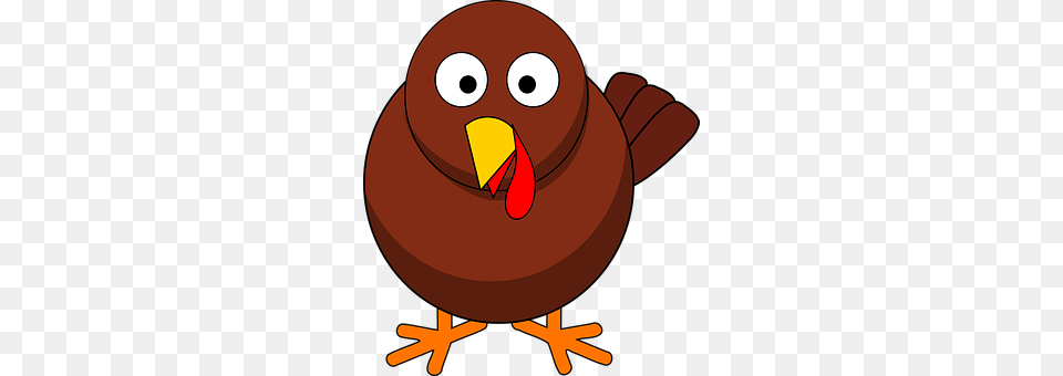 Turkey Animal, Beak, Bird, Bear Free Png