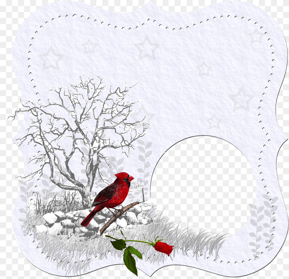 Turkey, Animal, Bird, Cardinal, Flower Png