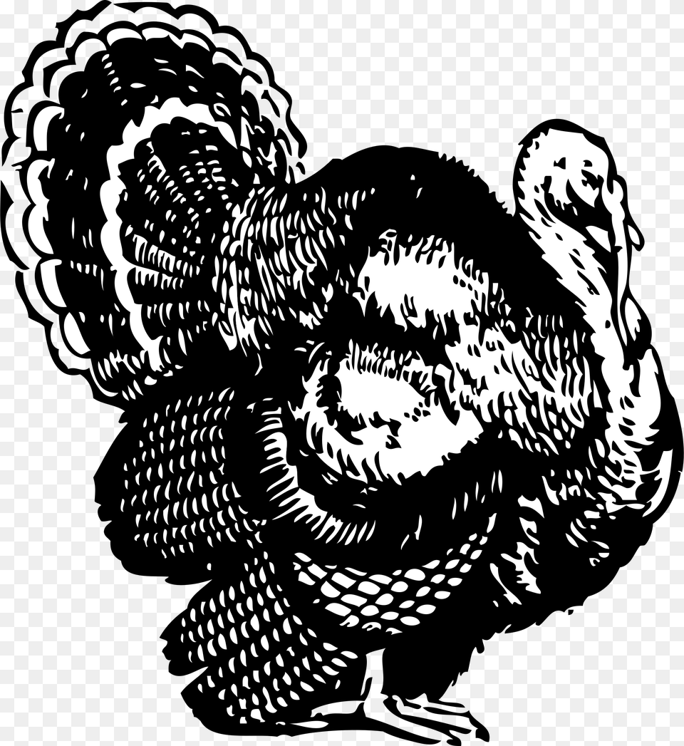 Turkey, Animal, Dinosaur, Reptile Free Png Download