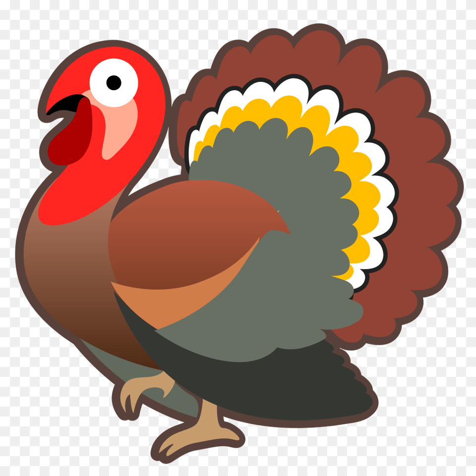 Turkey, Animal, Bird, Fowl, Poultry Free Png Download