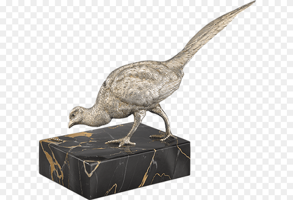 Turkey, Animal, Bird Free Transparent Png