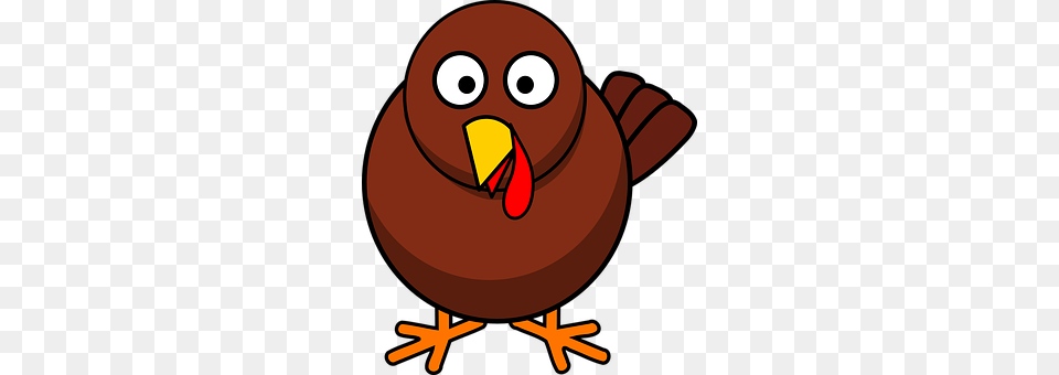 Turkey Animal, Beak, Bird, Bear Png