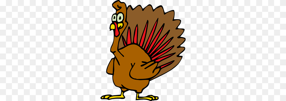 Turkey Animal, Bird, Fowl, Poultry Png