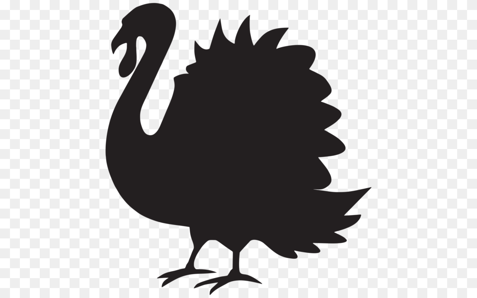 Turkey, Person, Animal, Bird, Swan Free Png Download