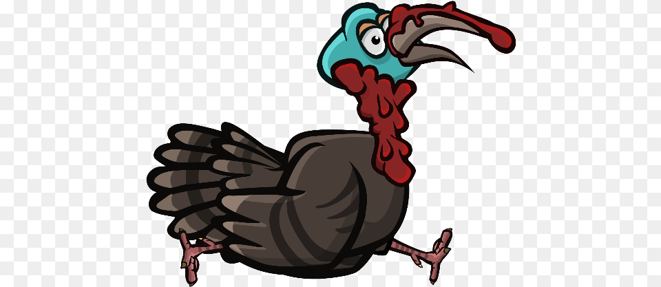 Turkey, Animal, Beak, Bird, Fowl Free Png