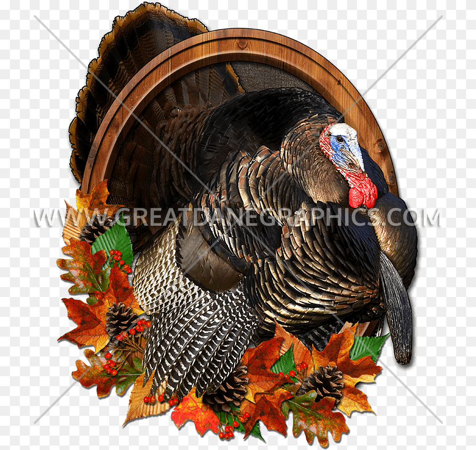 Turkey, Leaf, Plant, Animal, Bird Free Transparent Png