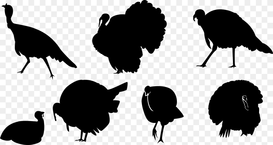 Turkey Ave Silhouette Chick Animal Wings Tail Turkey, Gray Free Png
