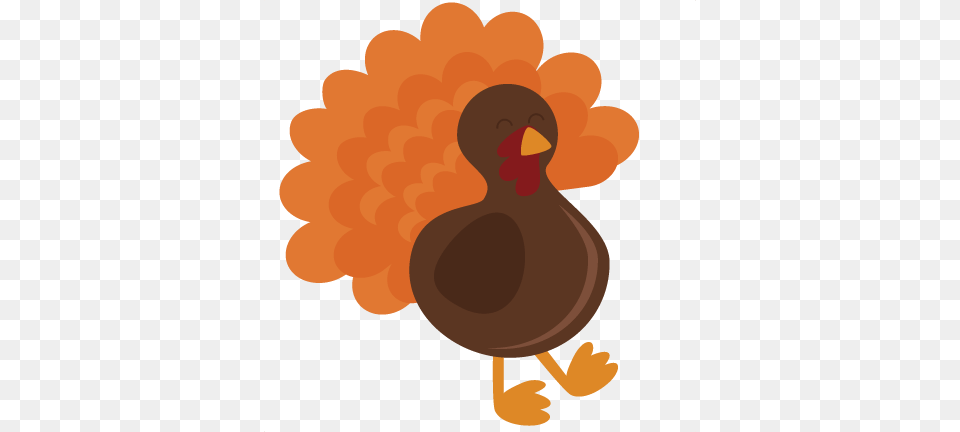 Turkey Bird Clipart, Animal Png Image