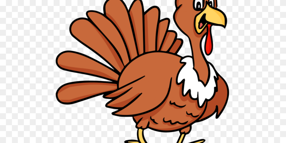 Turkey Bird Clipart Animated, Animal, Beak, Baby, Person Free Transparent Png