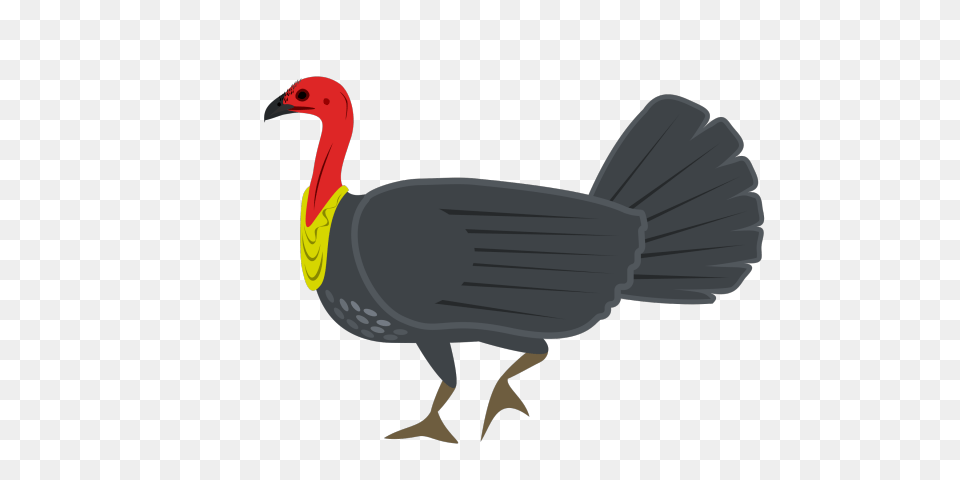 Turkey Bird Clipart Big Turkey, Animal, Beak, Fowl, Poultry Free Transparent Png