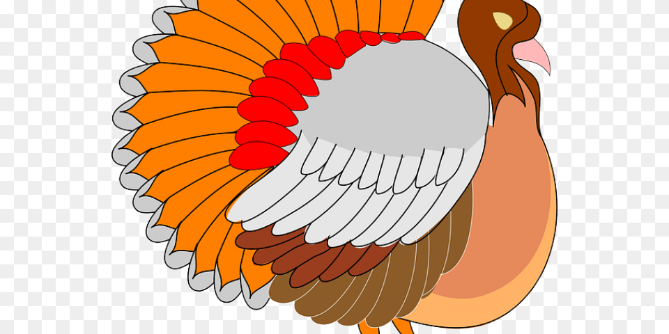 Turkey Bird Clipart Cornucopia Clipart Turkey, Animal, Pigeon Free Png