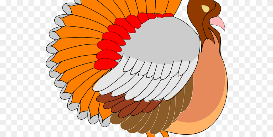 Turkey Bird Clipart Cornucopia Turkey Clipart Thanksgiving Bike, Animal, Pigeon Free Png Download