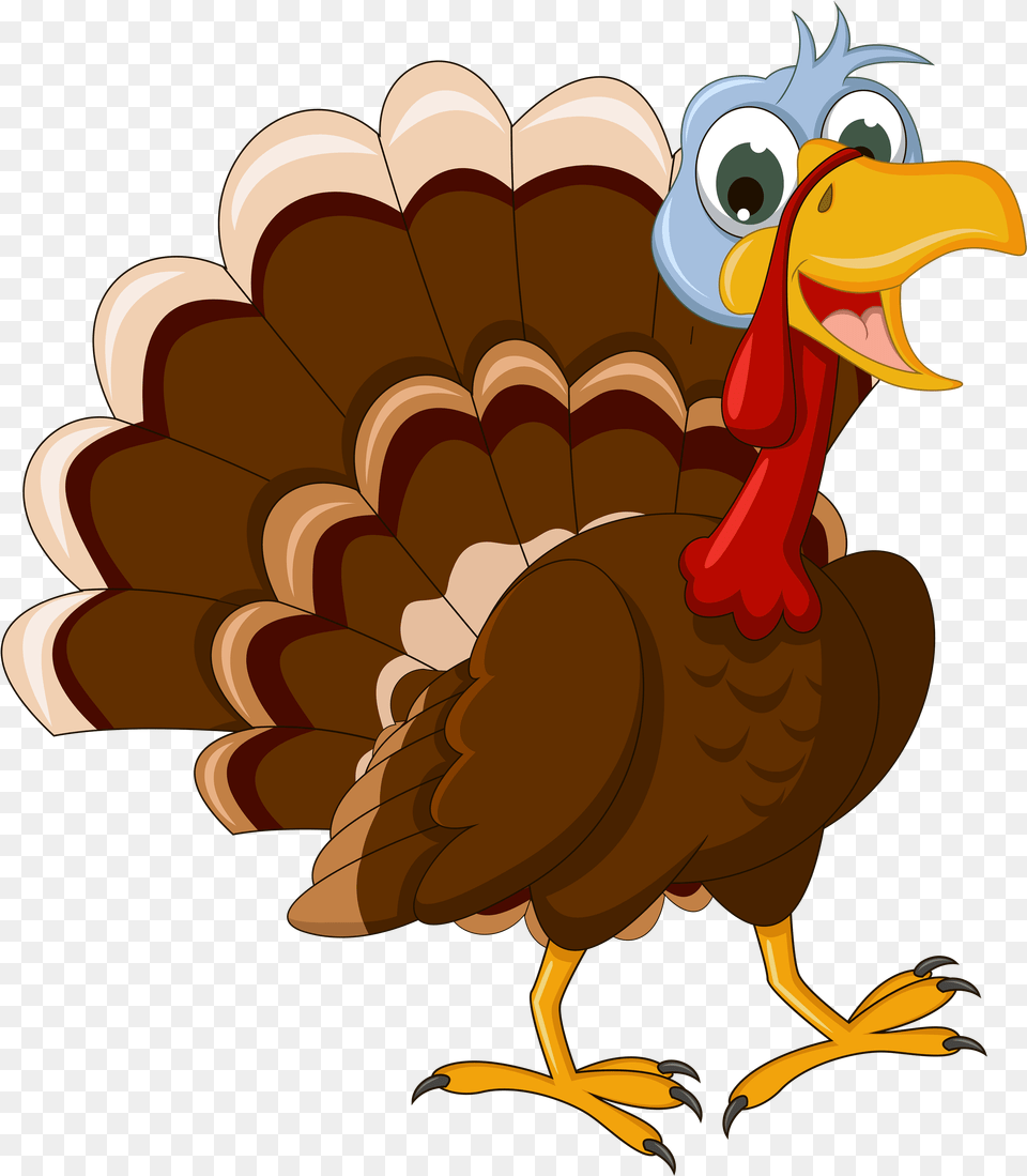 Turkey Bird Images Transparent Turkey Cartoon No Background, Animal, Fowl, Poultry, Turkey Bird Free Png Download