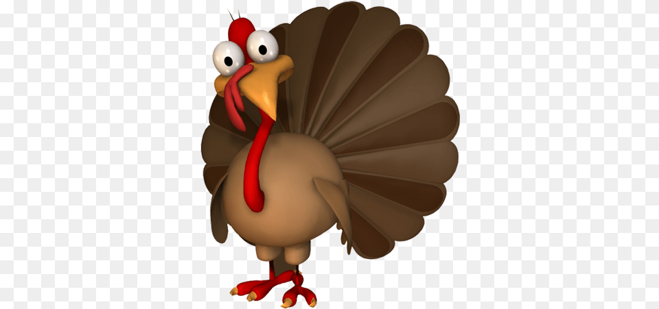 Turkey Bird Images Dallas Cowboys Happy Thanksgiving, Animal, Beak Free Transparent Png