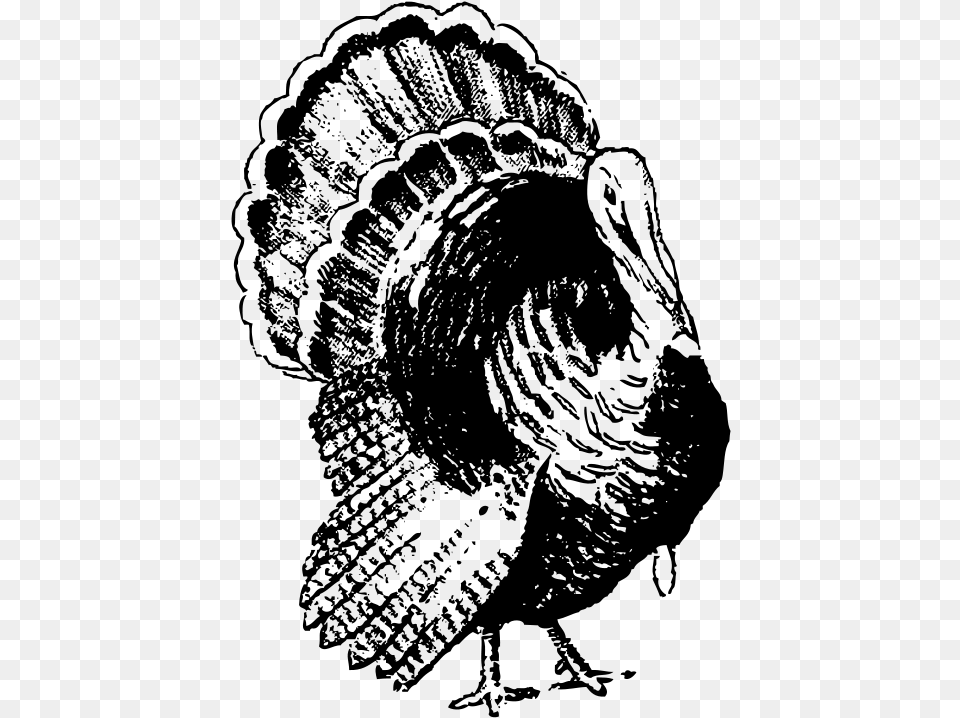 Turkey Black And White, Gray Free Transparent Png