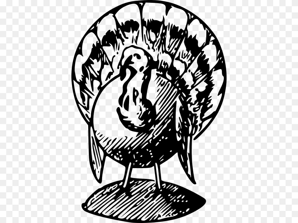 Turkey Black And White, Gray Free Png