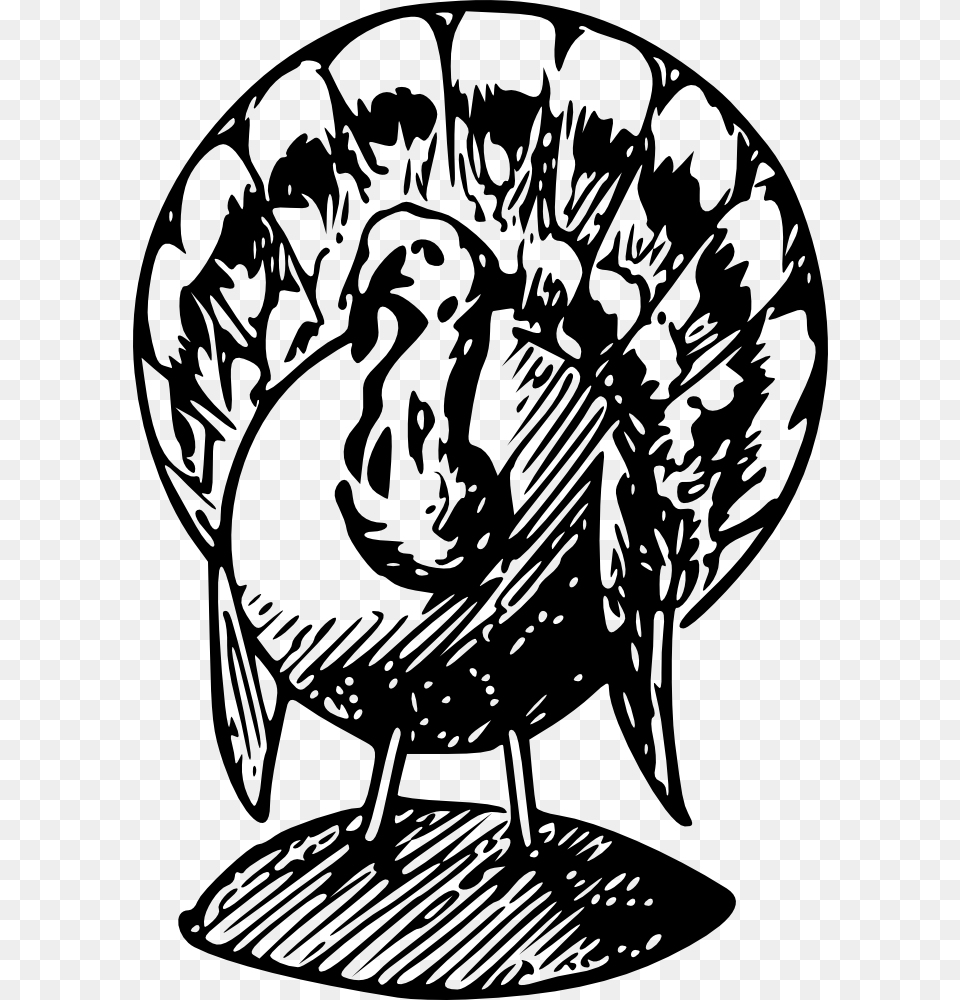 Turkey Bw Transparent Black And White Turkey Clipart, Animal, Bird, Fowl, Poultry Png Image