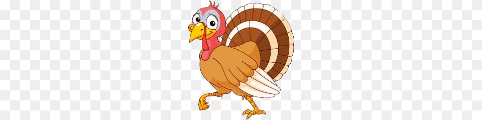 Turkey Cartoon, Animal, Bird, Beak Png Image