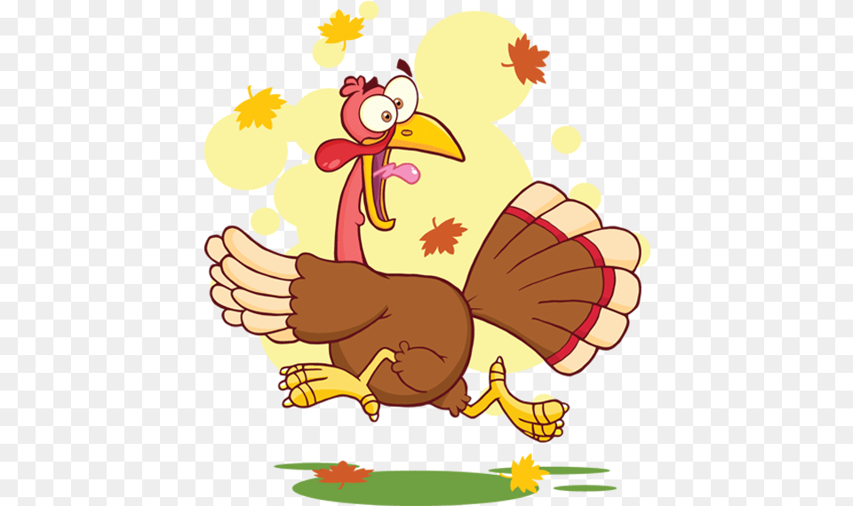 Turkey Cartoon, Baby, Person, Animal, Bird Free Png Download