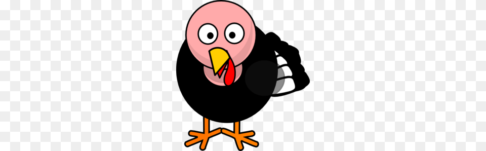 Turkey Clip Art, Animal, Bird, Vulture, Beak Png Image