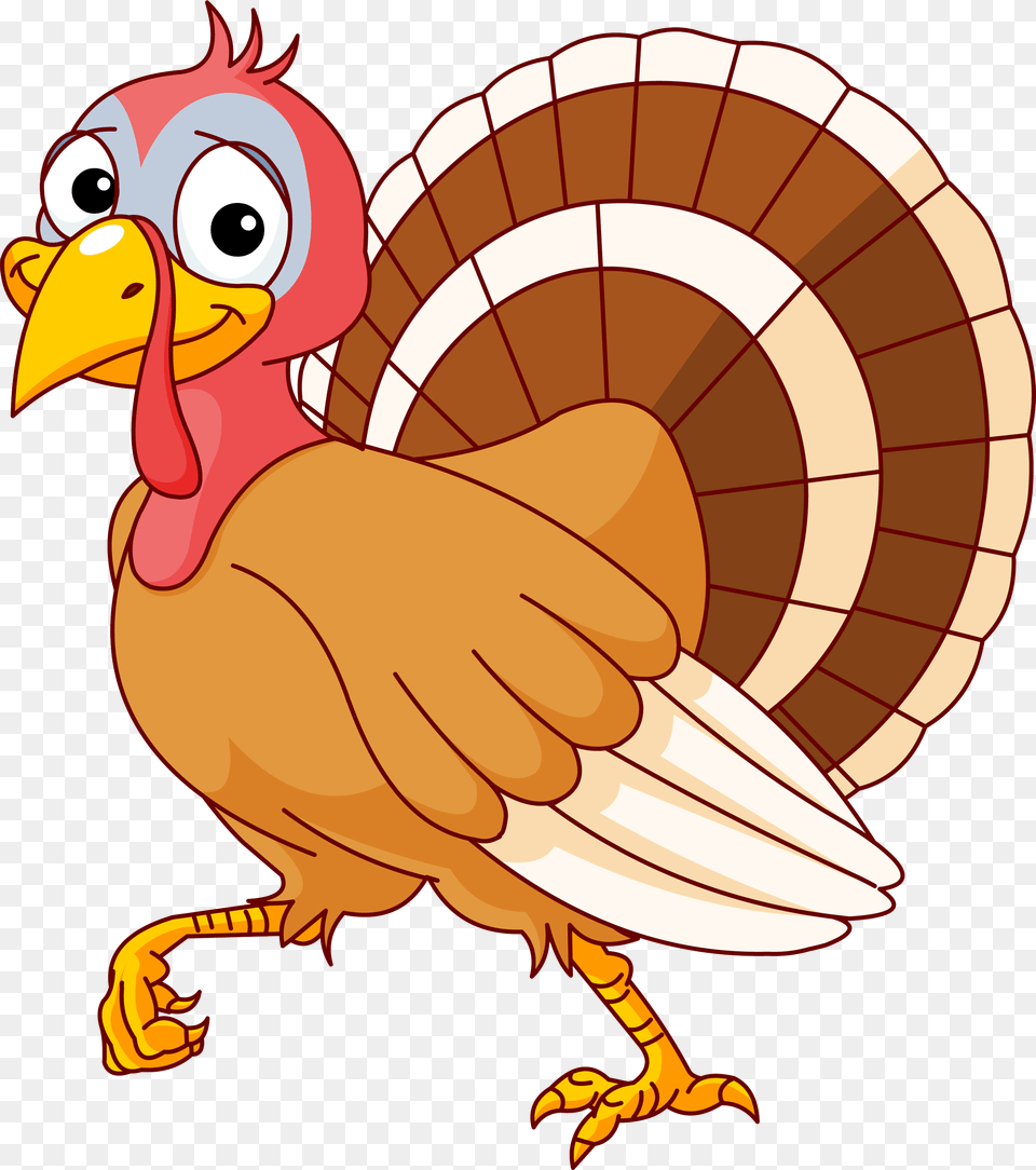Turkey Clip Art, Animal, Bird, Fowl, Poultry Png