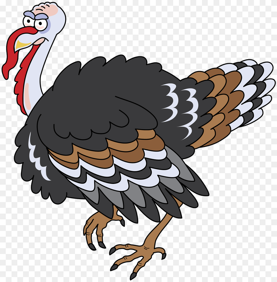 Turkey Clipart, Animal, Beak, Bird Free Transparent Png