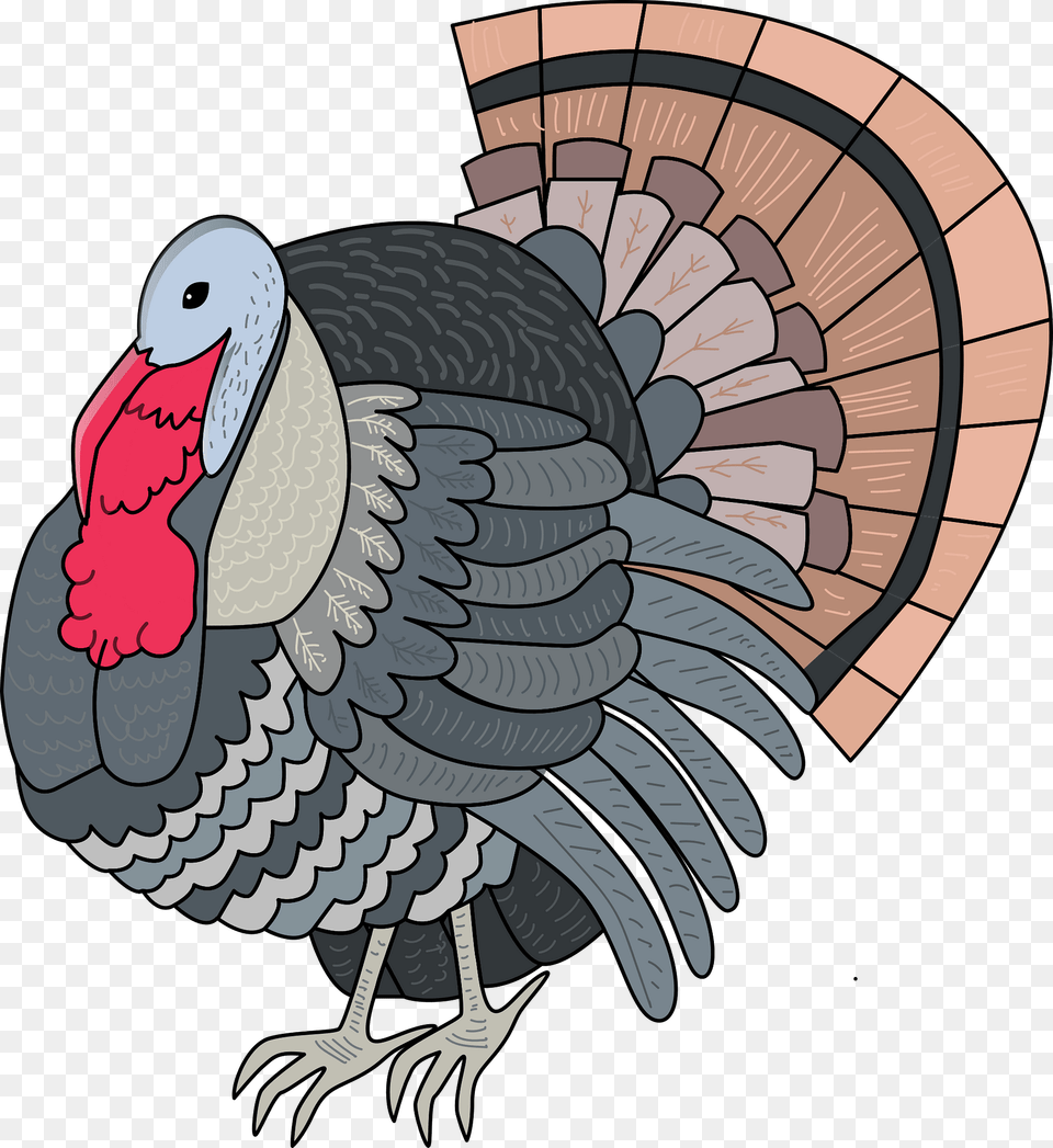 Turkey Clipart, Animal, Bird, Fowl, Poultry Free Transparent Png