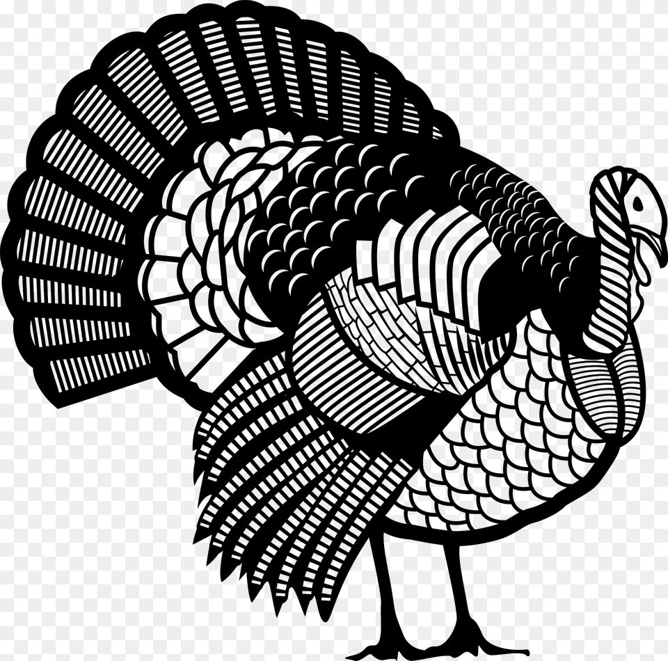Turkey Clipart, Animal, Bird, Fowl, Poultry Png