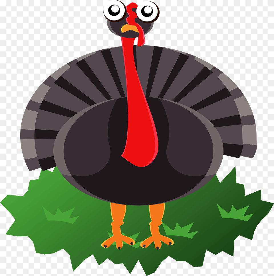 Turkey Clipart, Animal, Bird, Beak, Fowl Free Transparent Png