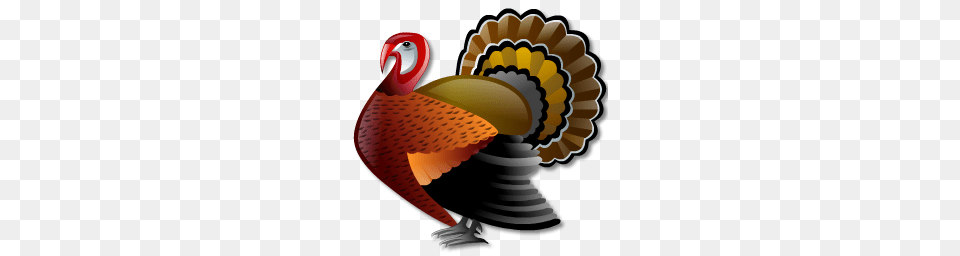 Turkey Clipart, Animal, Bird, Chess, Fowl Free Transparent Png