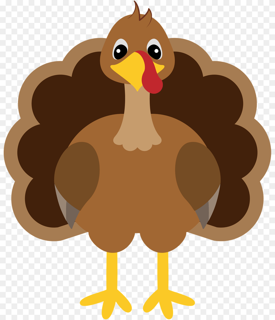 Turkey Clipart, Animal, Beak, Bird, Fowl Png