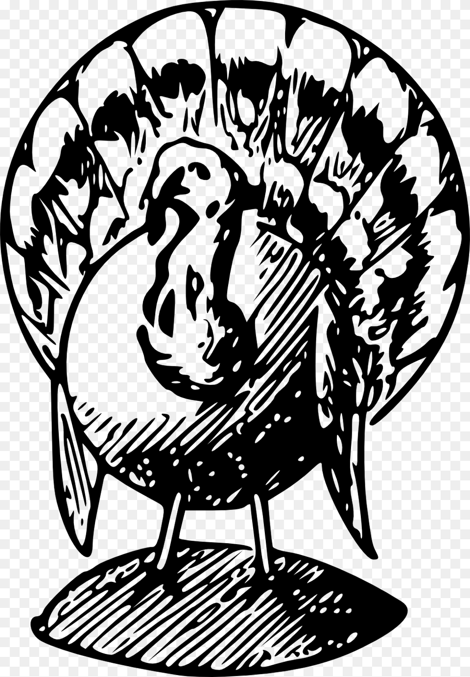Turkey Clipart Black And White, Animal, Bird, Fowl, Poultry Free Transparent Png
