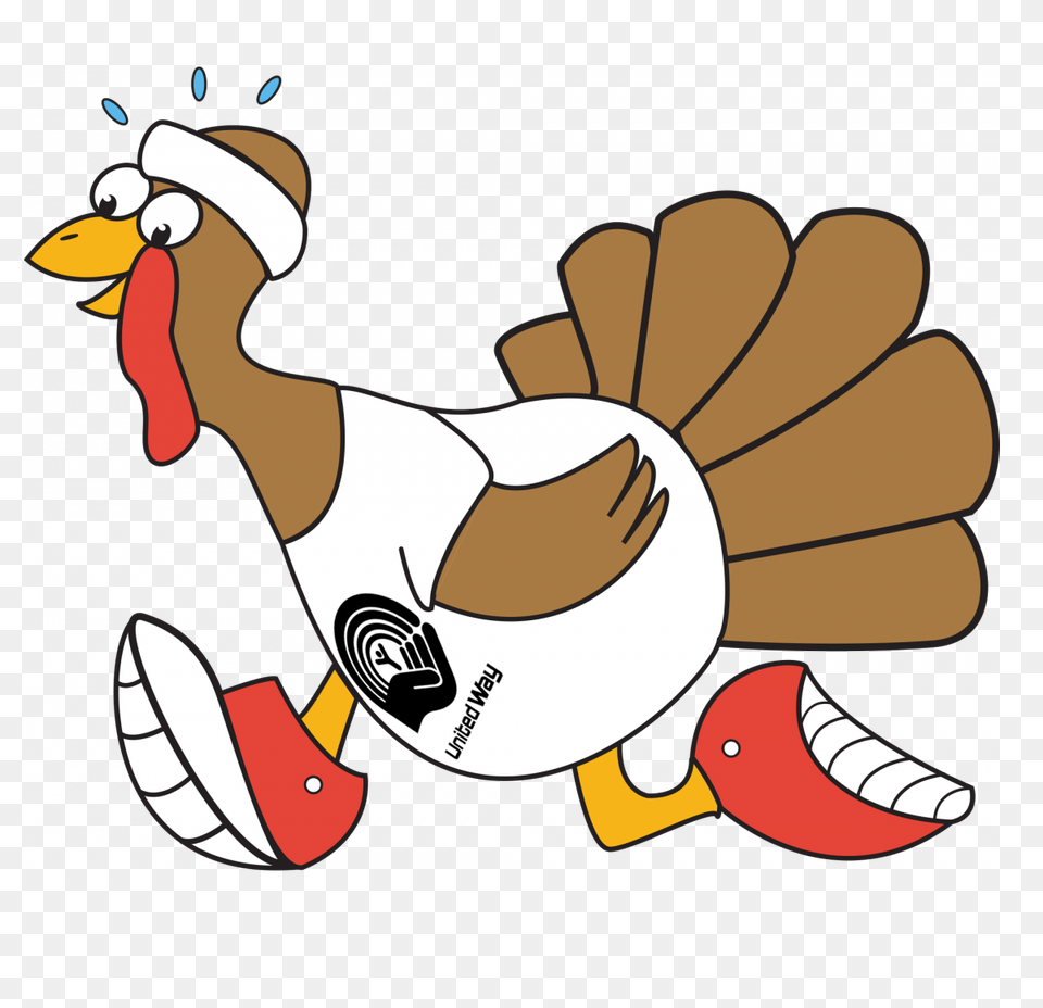 Turkey Clipart Race, Animal, Beak, Bird, Adult Free Png Download