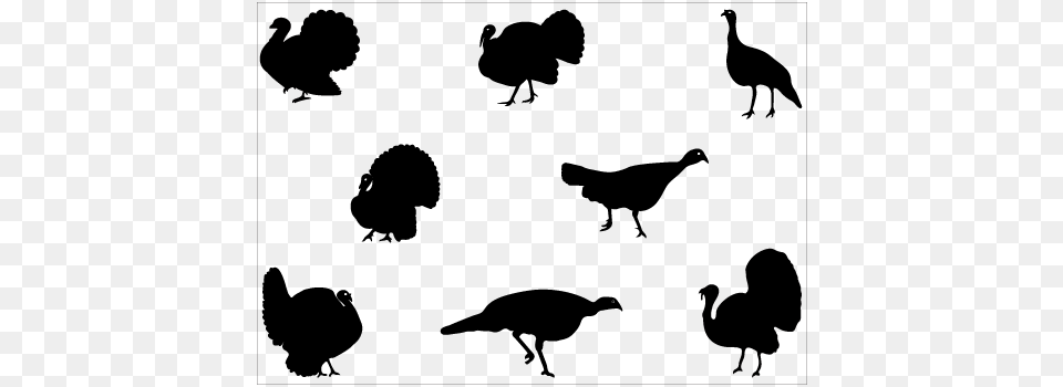 Turkey Clipart Silhouette Vector Turkey Silhouette, Nature, Night, Outdoors, Astronomy Free Png