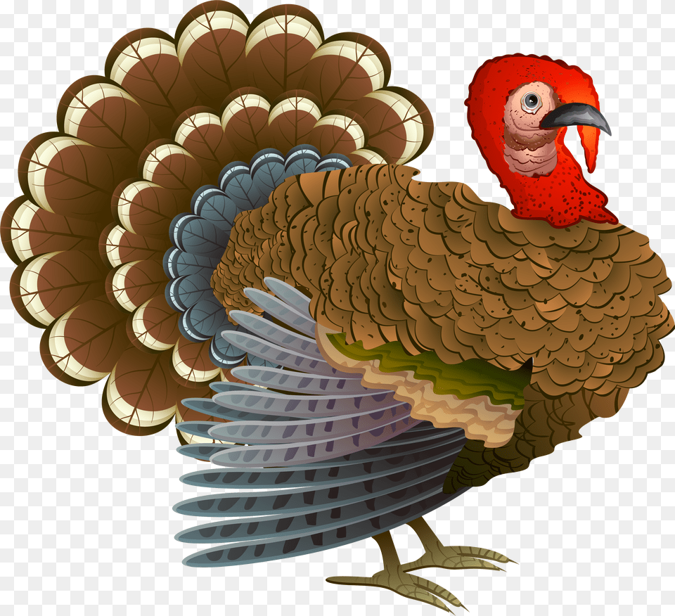 Turkey Clipart Turkeys For Thanksgiving, Animal, Bird, Fowl, Poultry Free Png