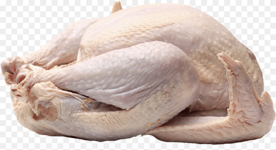 Turkey Dinner, Animal, Fish, Sea Life, Food Free Png Download