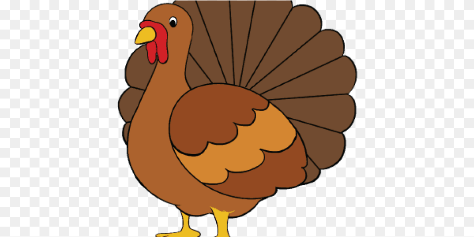 Turkey Drawing, Animal, Bird, Baby, Person Png Image