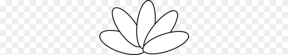 Turkey Feather Clipart, Stencil, Plant, Flower, Petal Free Png
