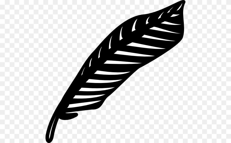 Turkey Feather Clipart Black And White 4 Feather Clip Art Leaf, Plant, Bottle, Text Free Transparent Png