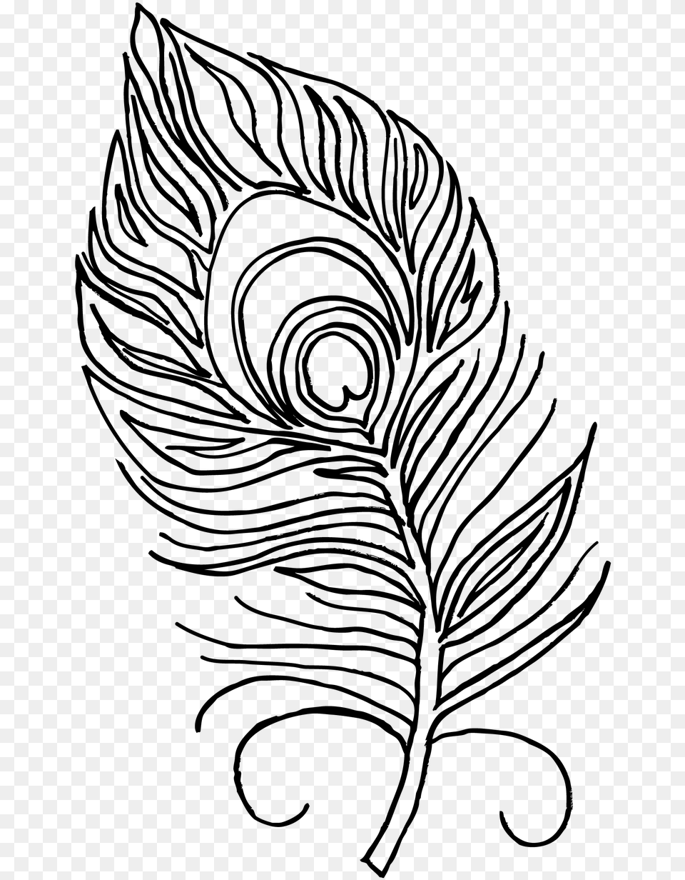Turkey Feathers Clipart Black Amp White Picture Peacock Feather For Colouring, Gray Free Png Download