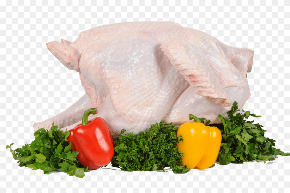 Turkey Food, Herbs, Plant, Meat, Pork Png