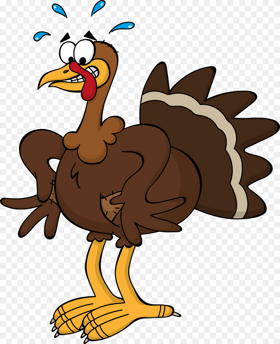 Turkey Has No Money Clipart, Animal, Beak, Bird, Kangaroo Free Png