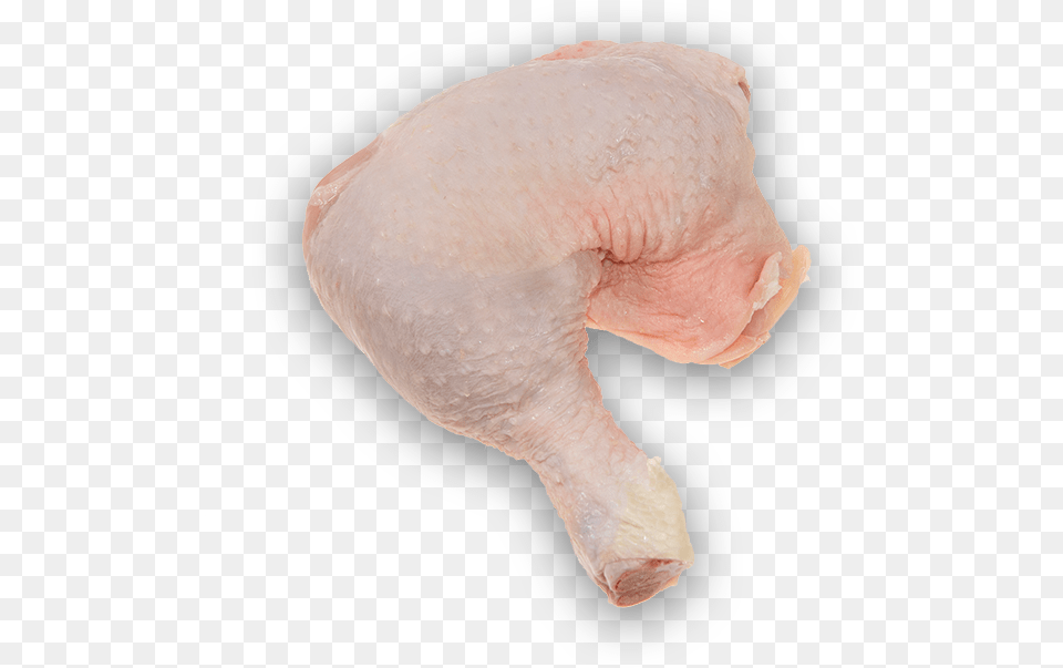 Turkey Meat, Animal, Bird, Fowl, Poultry Png Image