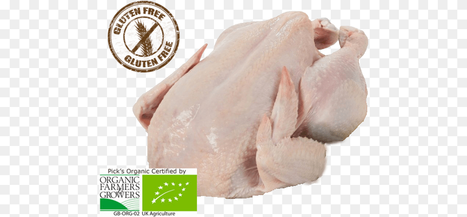 Turkey Meat, Animal, Bird, Food, Roast Free Png